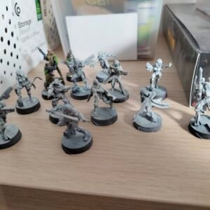 Haqqislam Force for Infinity the Game